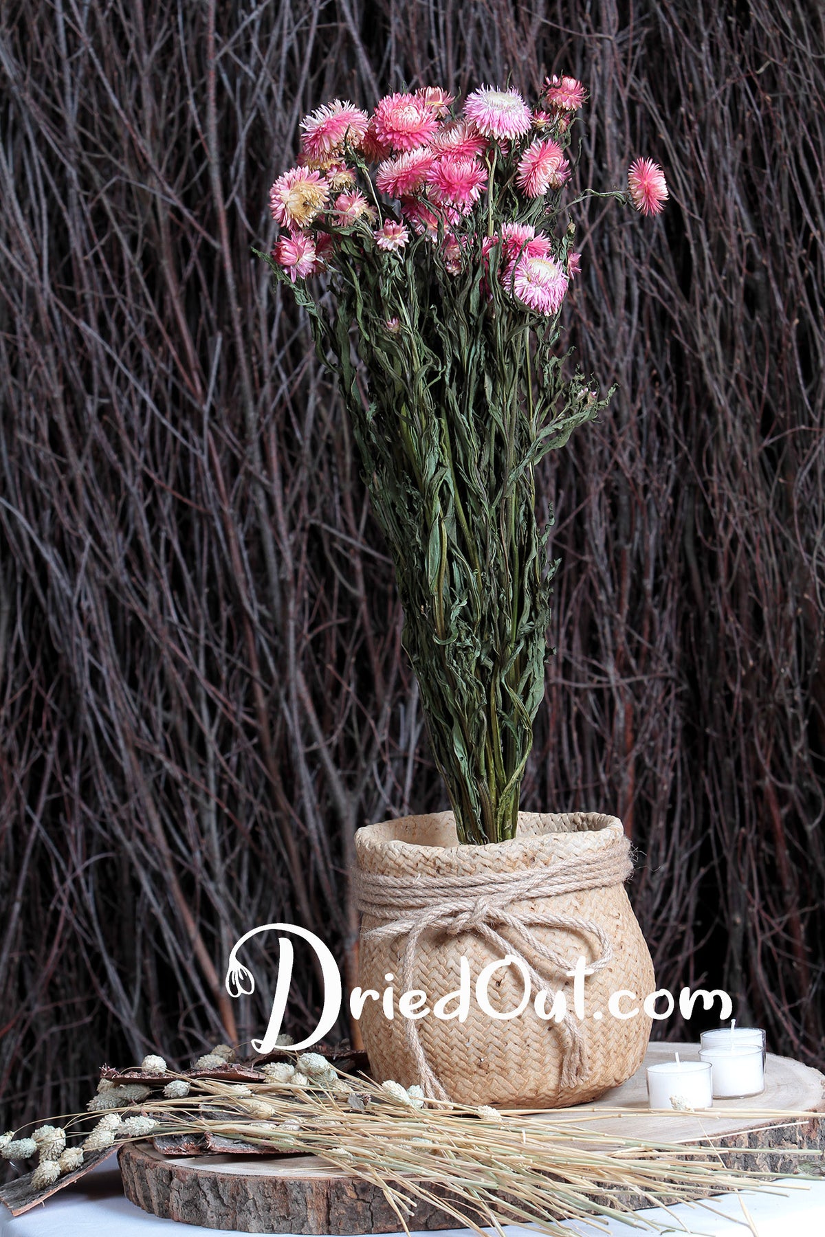 Dried Natural Pink "Straw Flower" by the bunch