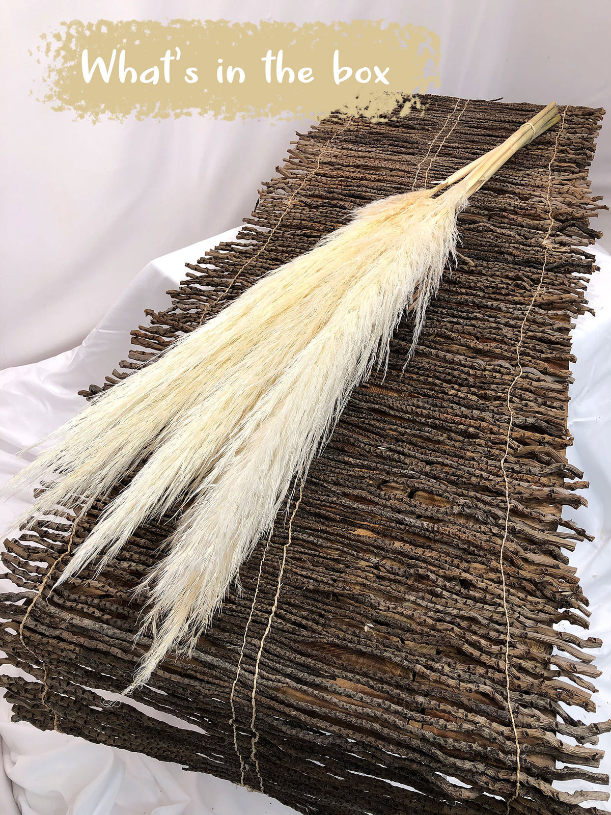 Bleached Fluffy "Pampas" Grass 120cm in a 5 stem bunch