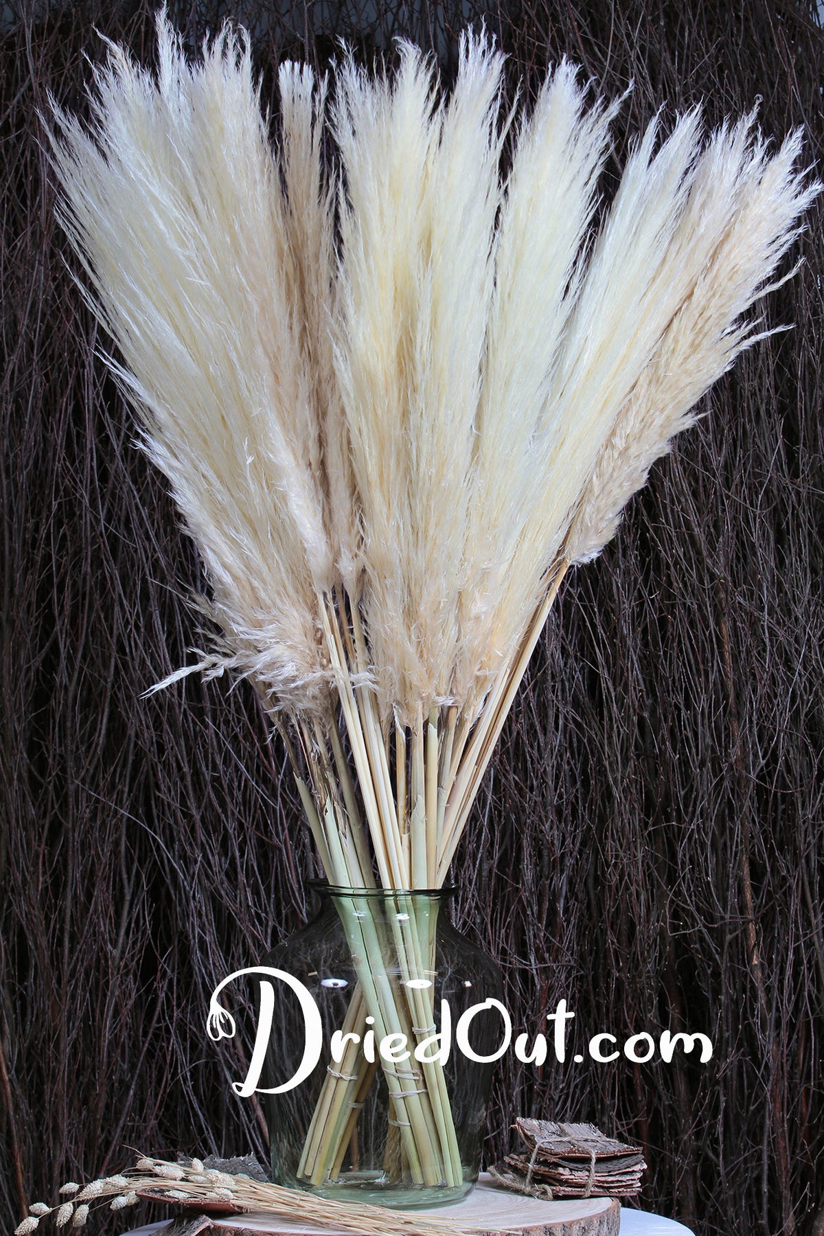 Bleached Fluffy "Pampas" Grass 120cm in a 5 stem bunch