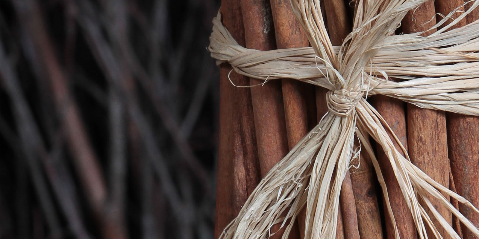 Our other Interesting  Dried Products