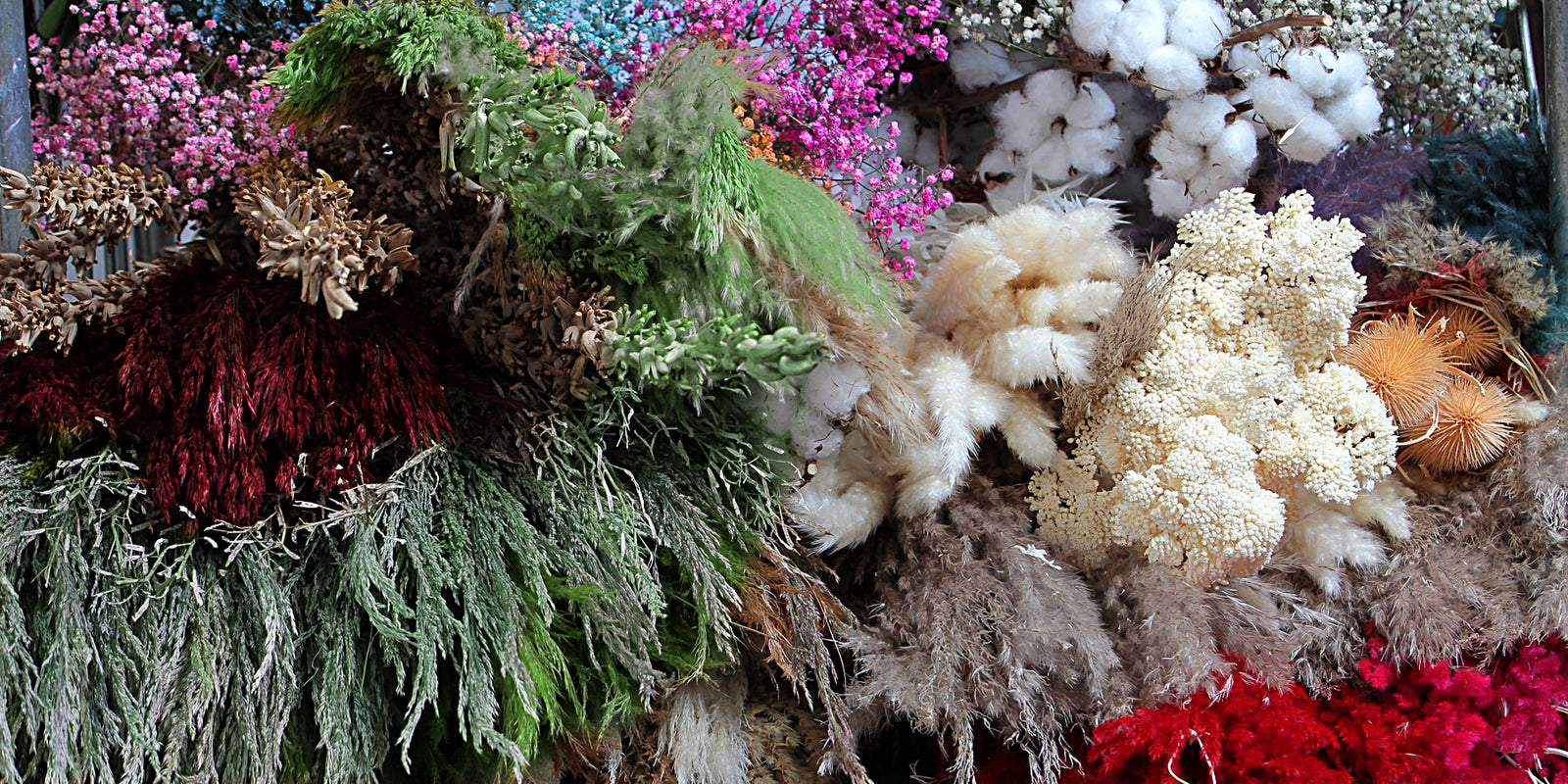 Vivid Colours... All Products