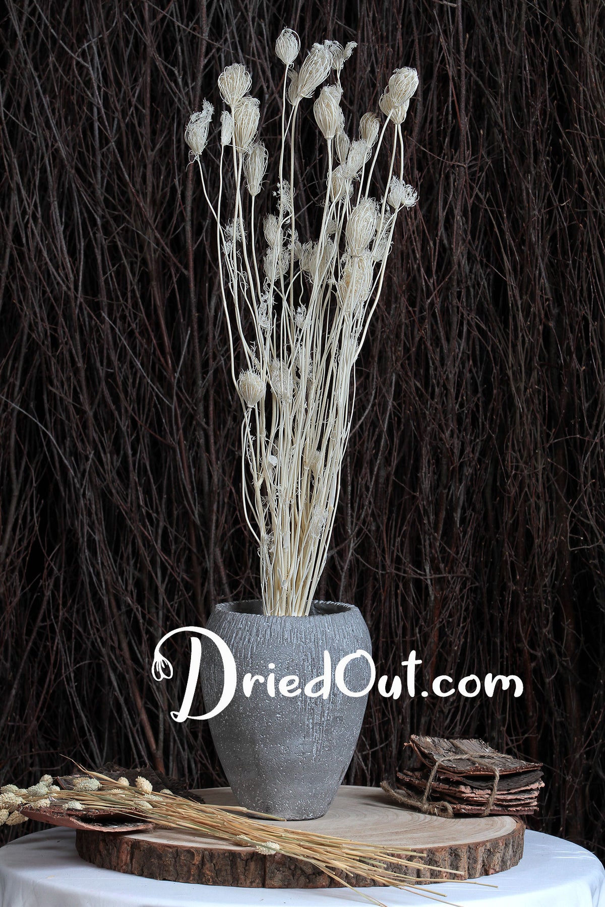 Bleached &quot;Fennel&quot; Grass by the bunch