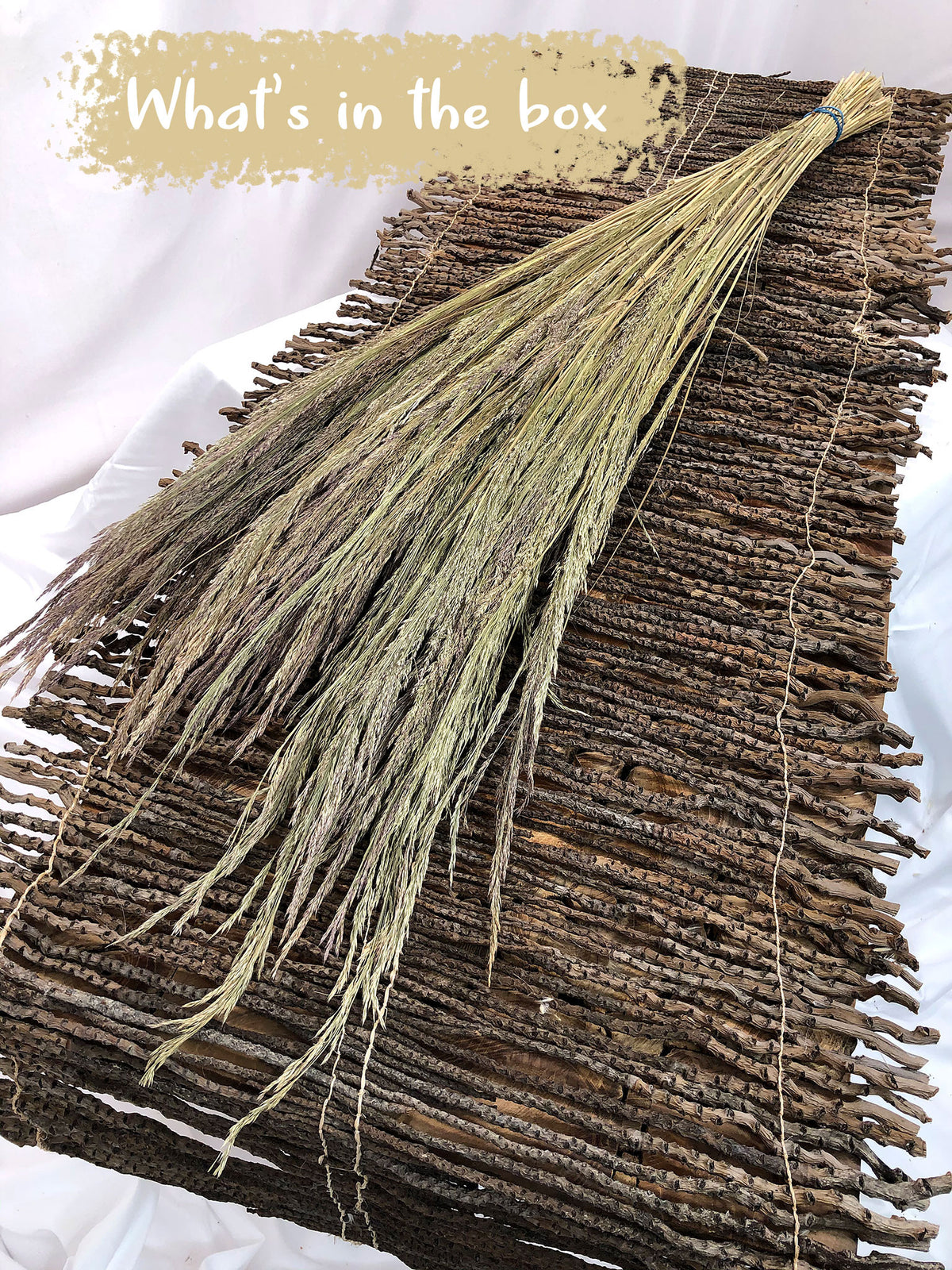 Dried Natural &quot;Erba Grass&quot; 70cm by the bunch