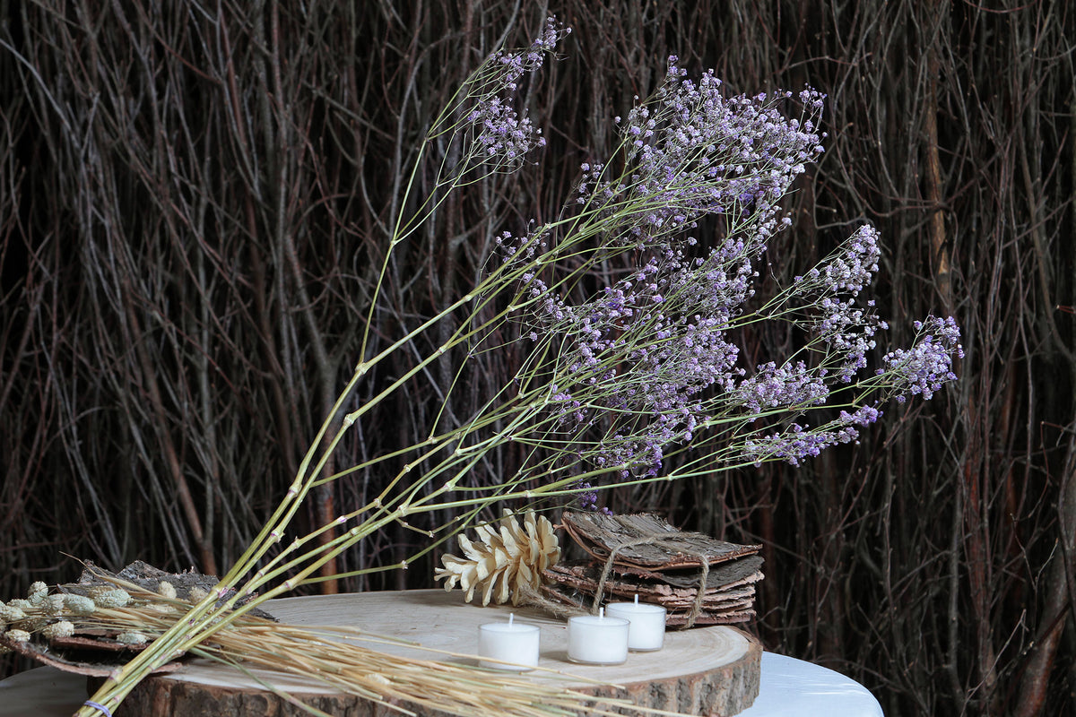 Dried Lilac &quot;Gypsophila&quot; Flower by the bunch