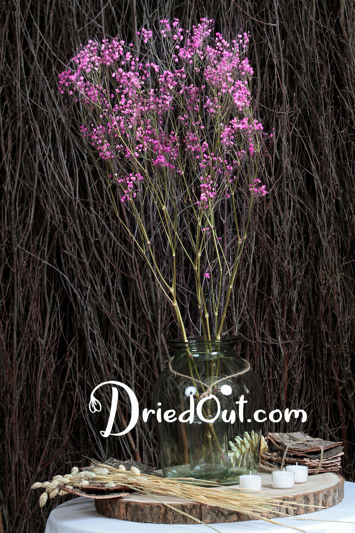 Dried Cerise Pink &quot;Gypsophila&quot; Flower by the bunch