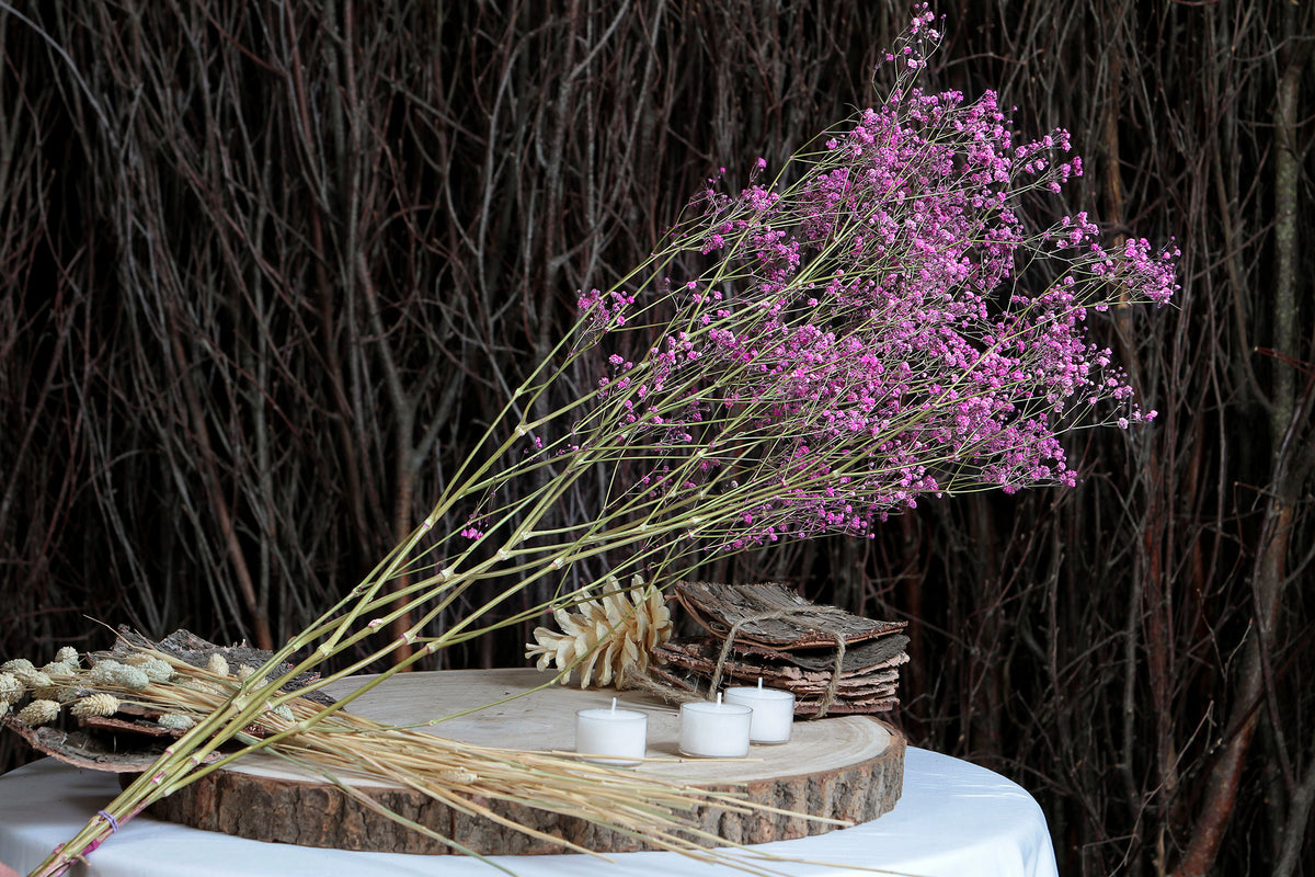 Dried Cerise Pink &quot;Gypsophila&quot; Flower by the bunch