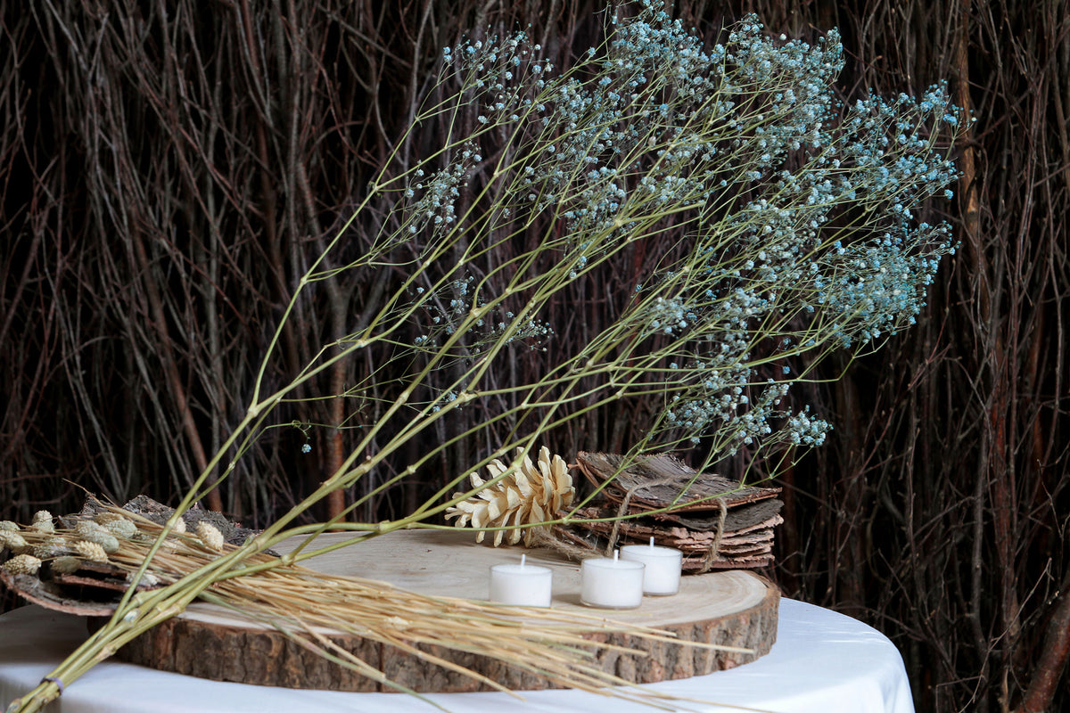 Dried Light Blue &quot;Gypsophila&quot; Flower by the bunch