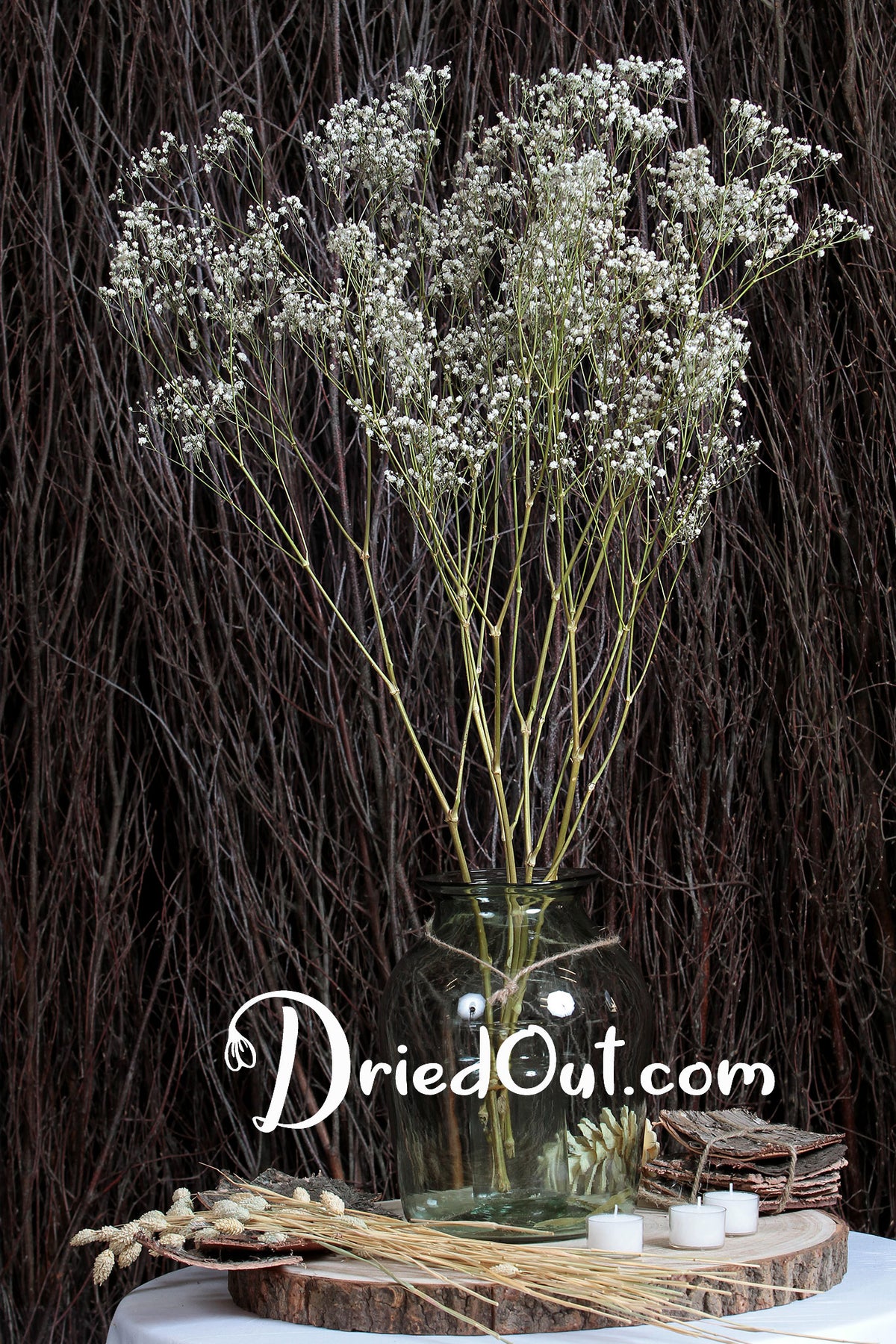 Dried Natural &quot;Gypsophila&quot; Flower by the bunch