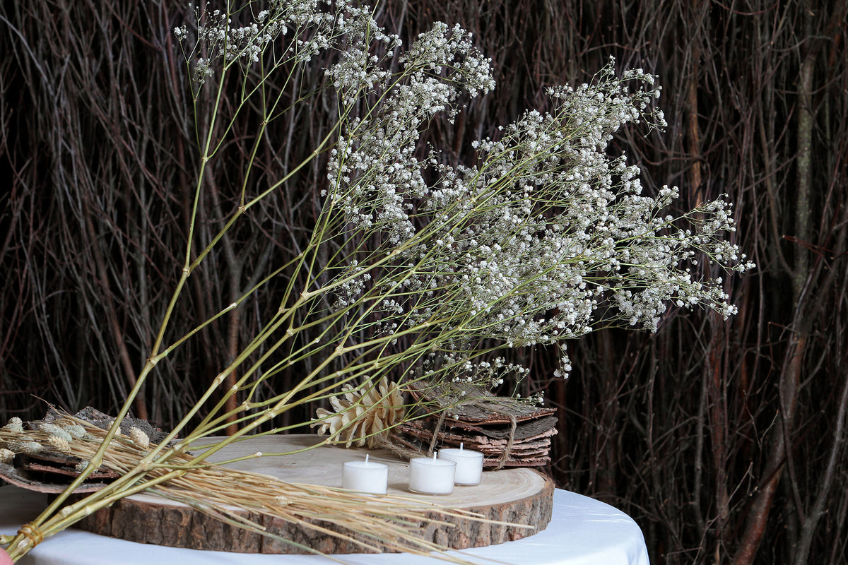 Dried Natural &quot;Gypsophila&quot; Flower by the bunch