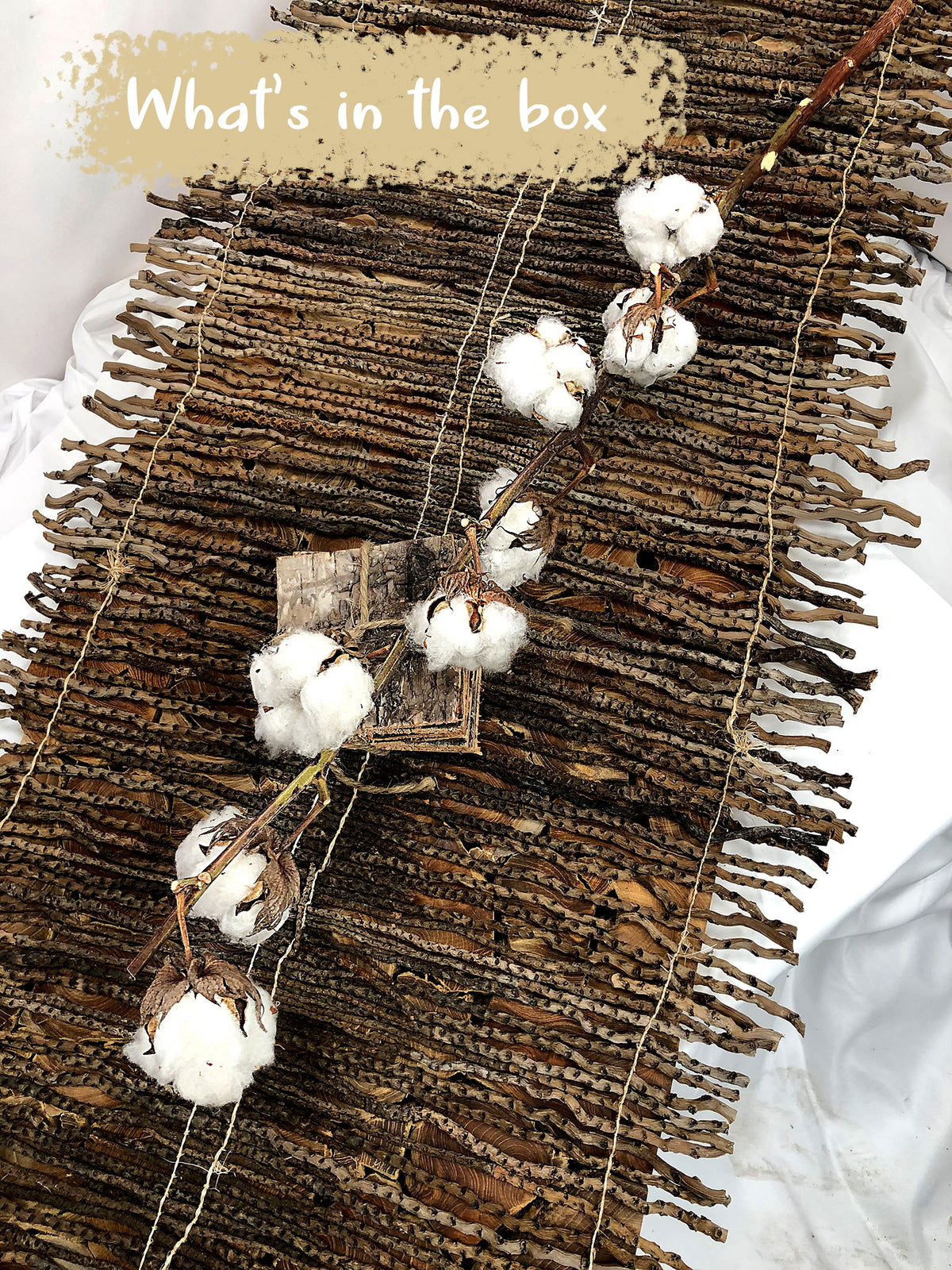 Dried Natural &quot;Cotton Stems&quot; with 9 buds on each stem