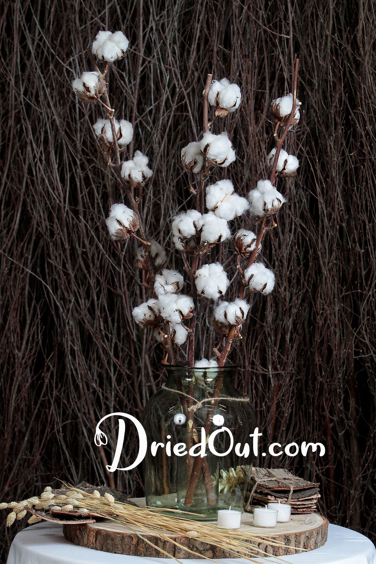 Dried Natural &quot;Cotton Stems&quot; with 7 buds on each stem