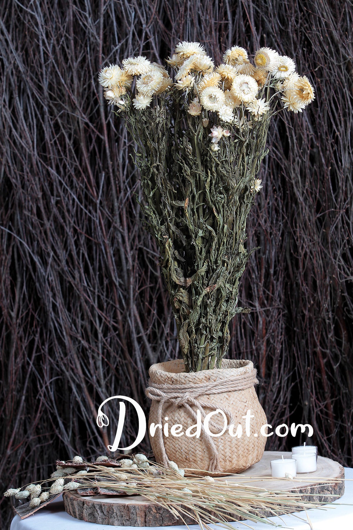 Dried Natural White &quot;Straw Flower&quot; by the bunch