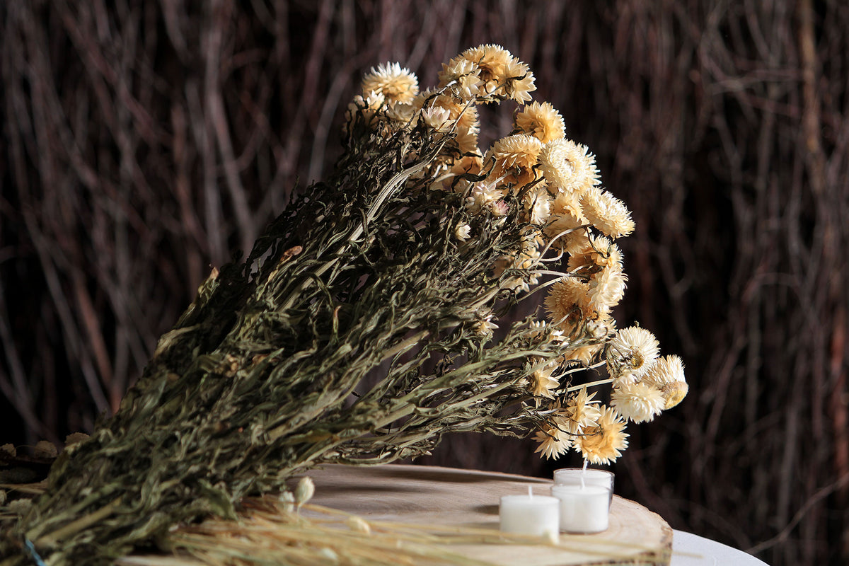 Dried Natural White &quot;Straw Flower&quot; by the bunch