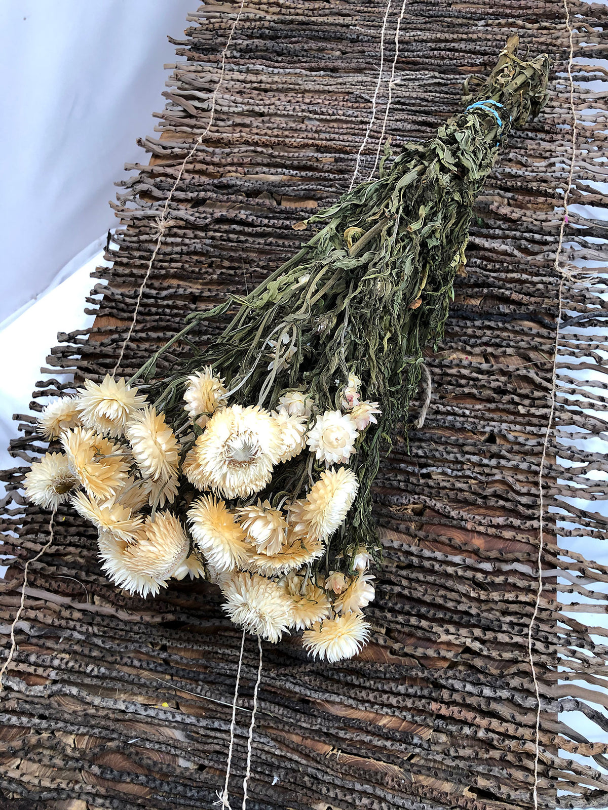 Dried Natural White &quot;Straw Flower&quot; by the bunch