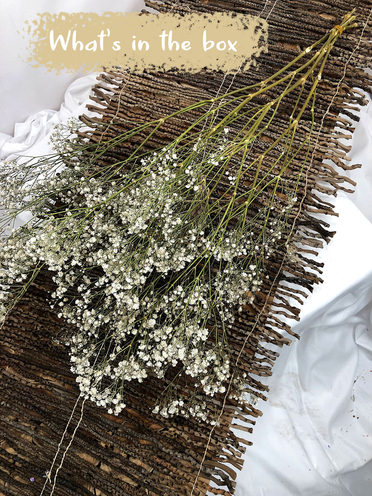 Dried Natural &quot;Gypsophila&quot; Flower by the bunch