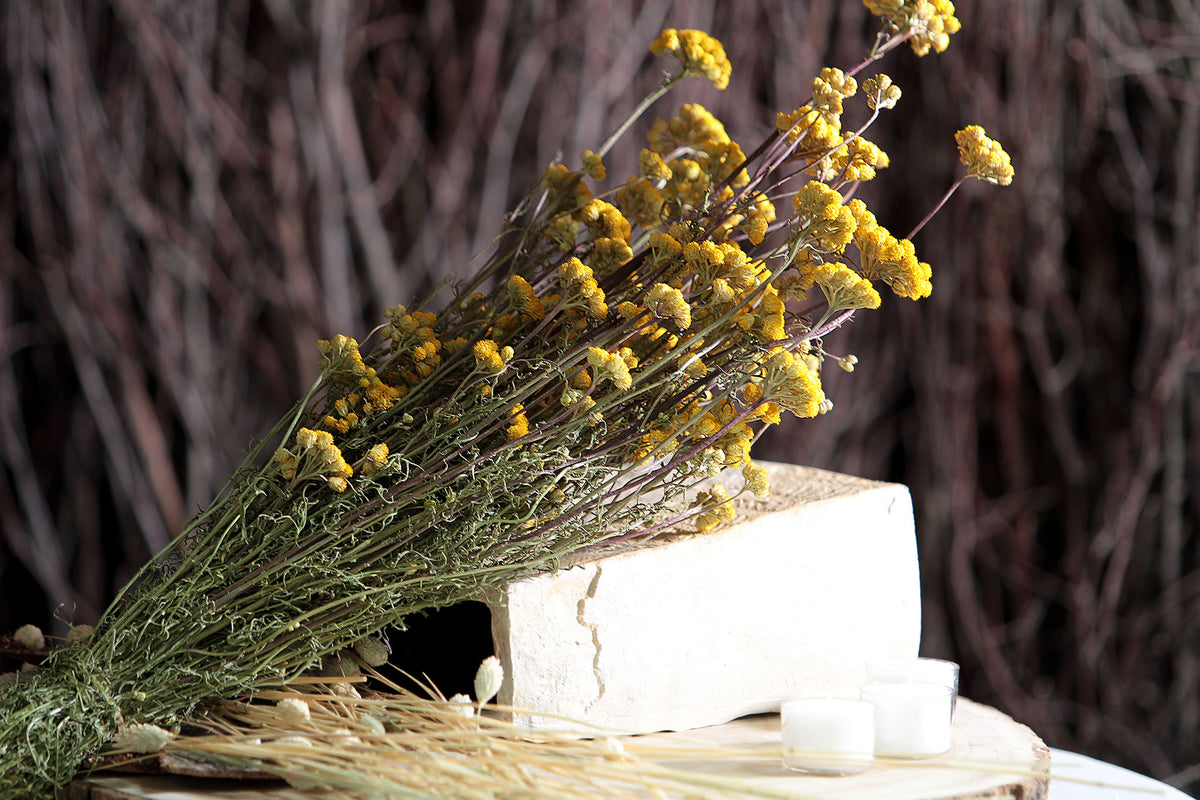 Dried Natural &quot;Lonas&quot; Flower by the bunch