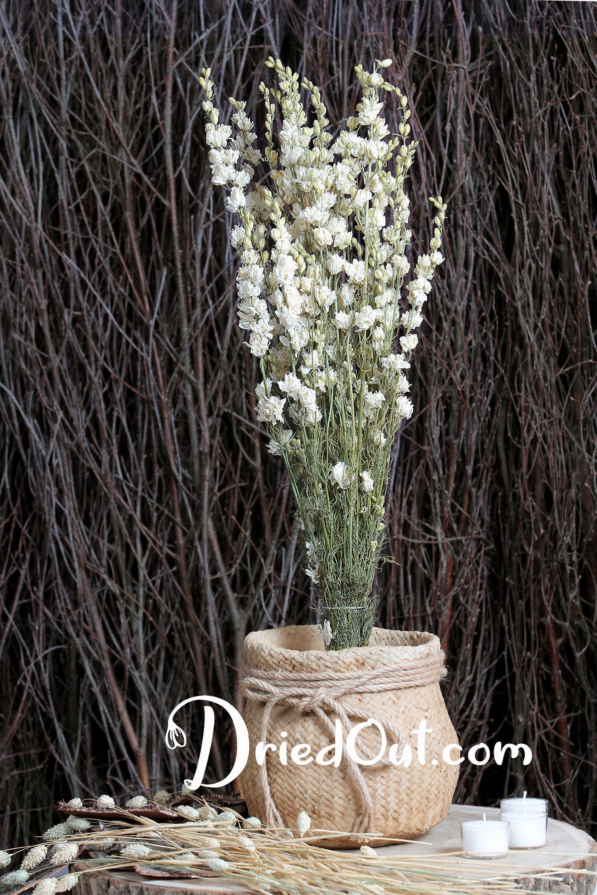 Dried Natural White &quot;Delphinium&quot; Flowers by the bunch