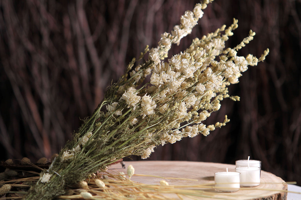 Dried Natural White &quot;Delphinium&quot; Flowers by the bunch