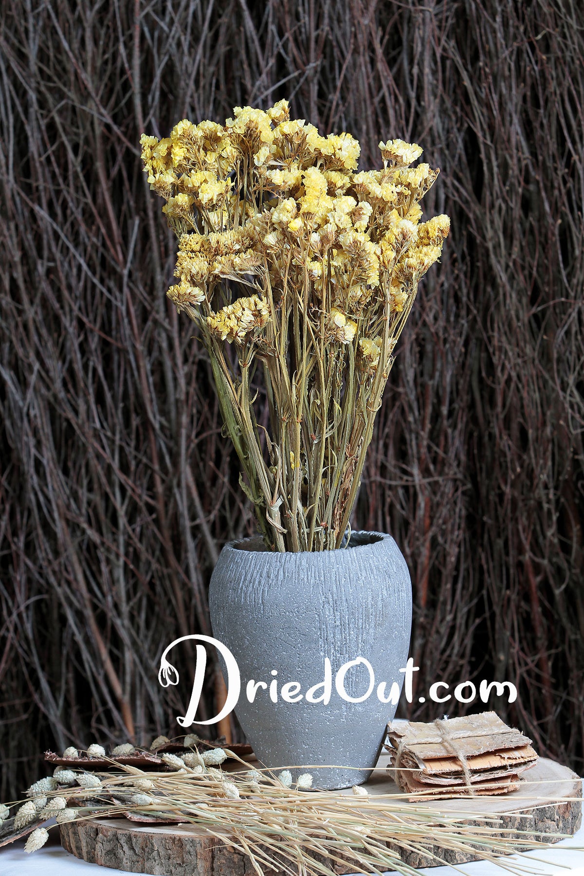 Dried Natural Yellow &quot;Statice&quot; Flower by the bunch