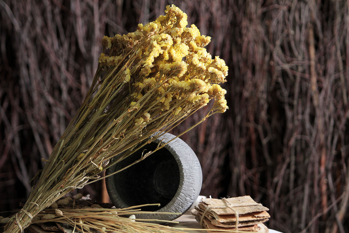 Dried Natural Yellow &quot;Statice&quot; Flower by the bunch