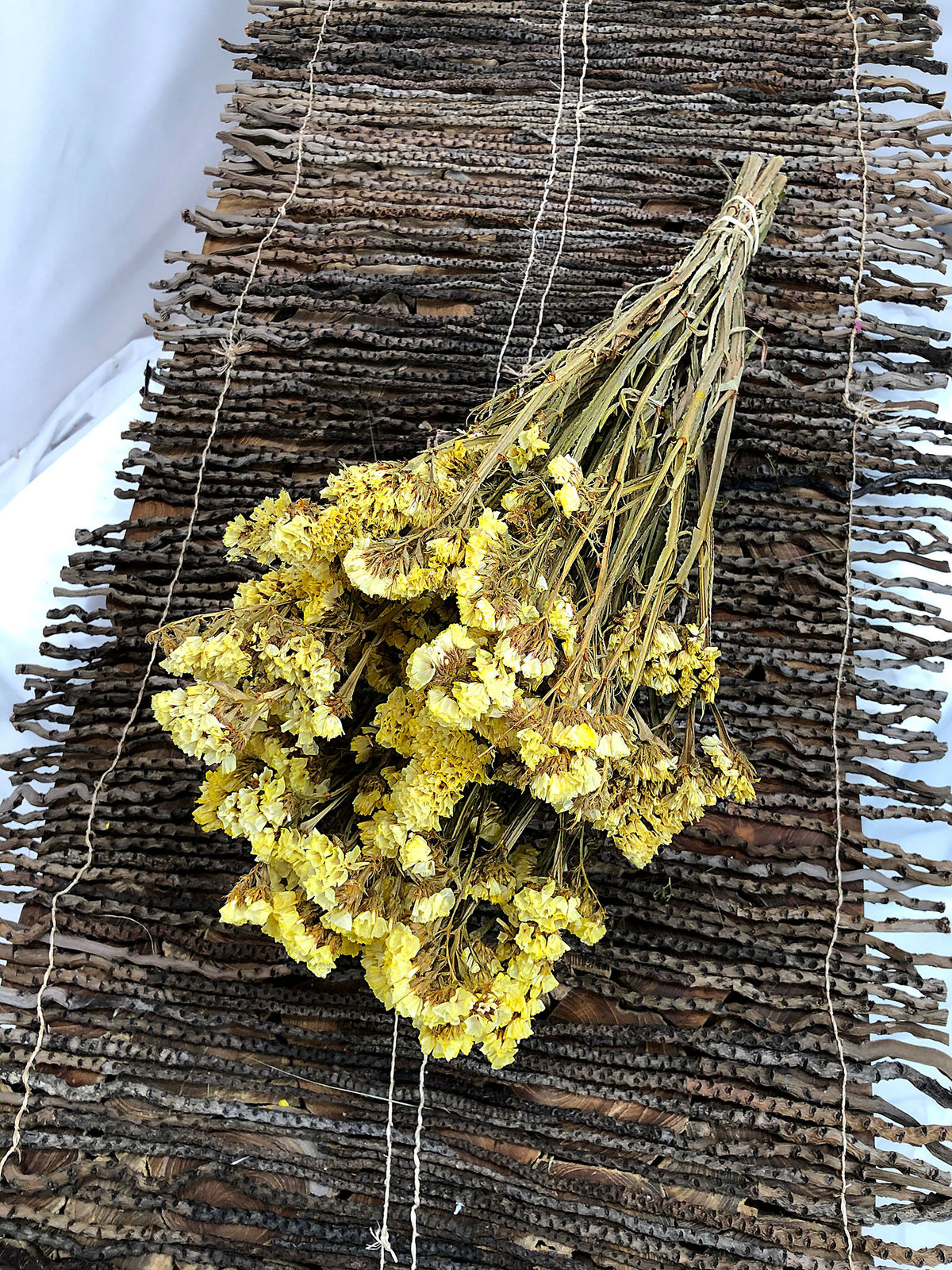 Dried Natural Yellow &quot;Statice&quot; Flower by the bunch