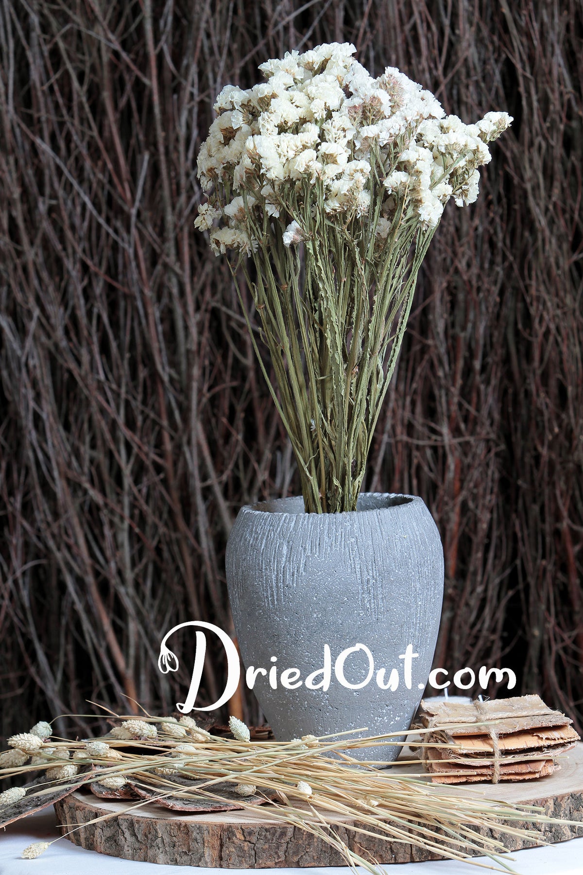 Dried Natural White &quot;Statice&quot; Flower by the bunch