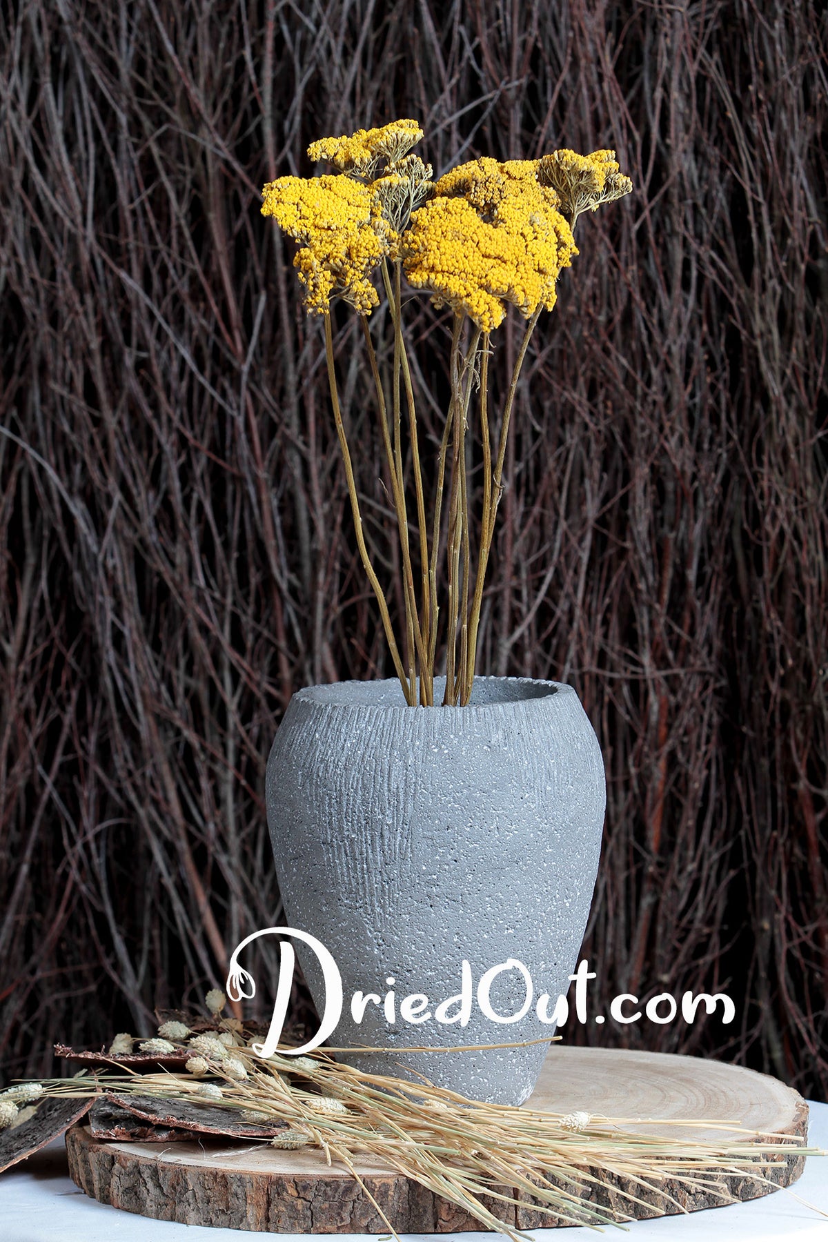 Dried Achillea &quot;Yarrow Flower&quot; by the bunch