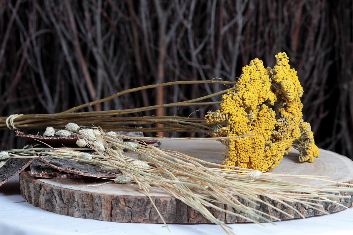 Dried Achillea &quot;Yarrow Flower&quot; by the bunch