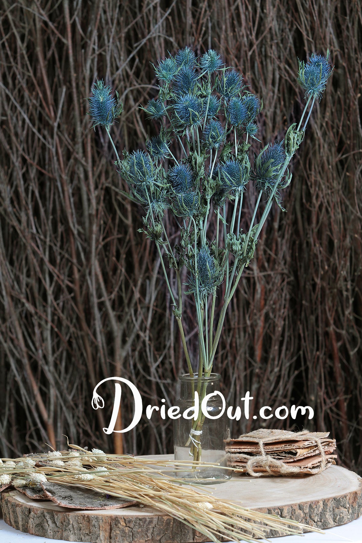 Dried Blue &quot;Thistle&quot; in a 5 stem bunch