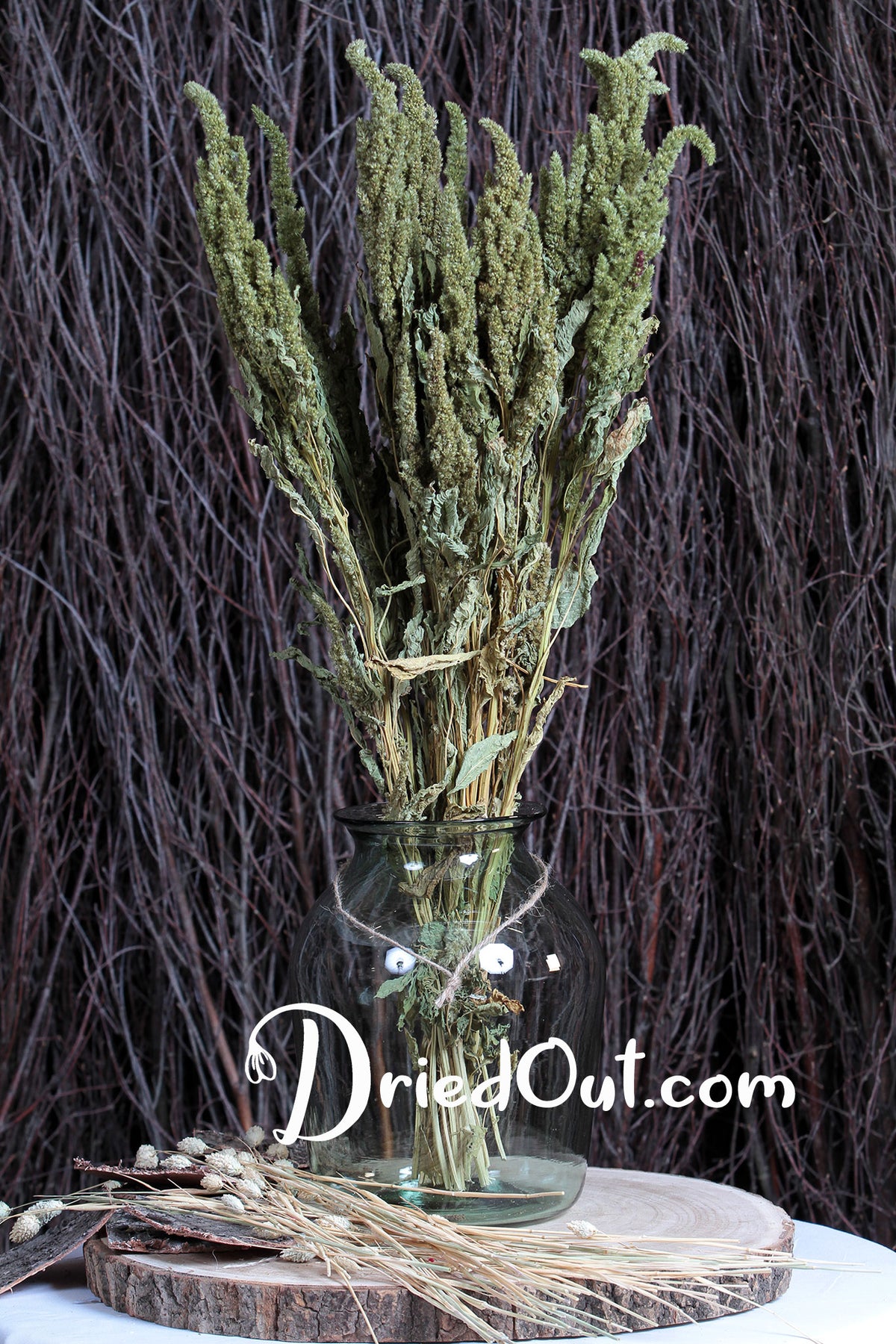 Dried Natural Green &quot;Amaranthus&quot; Flower by the bunch