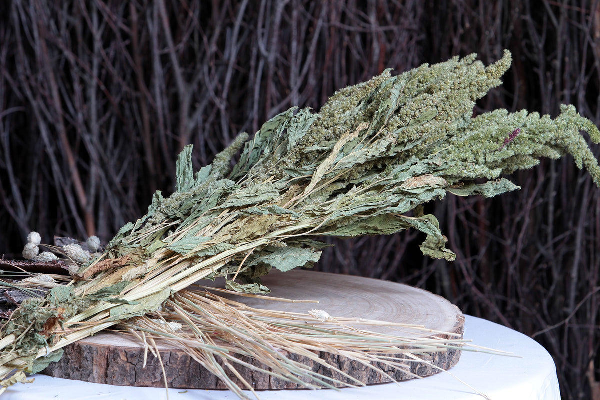 Dried Natural Green &quot;Amaranthus&quot; Flower by the bunch