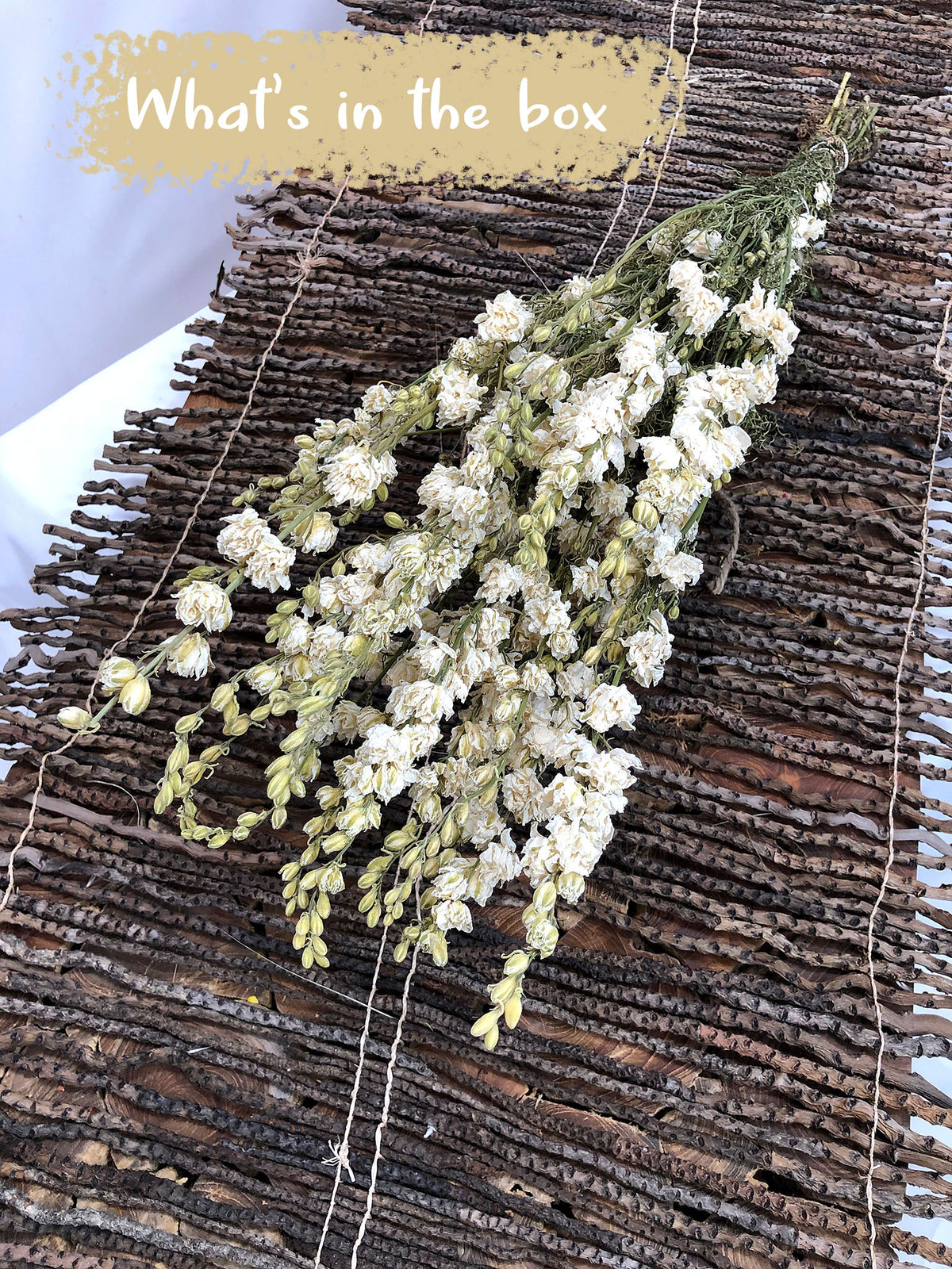 Dried Natural White &quot;Delphinium&quot; Flowers by the bunch