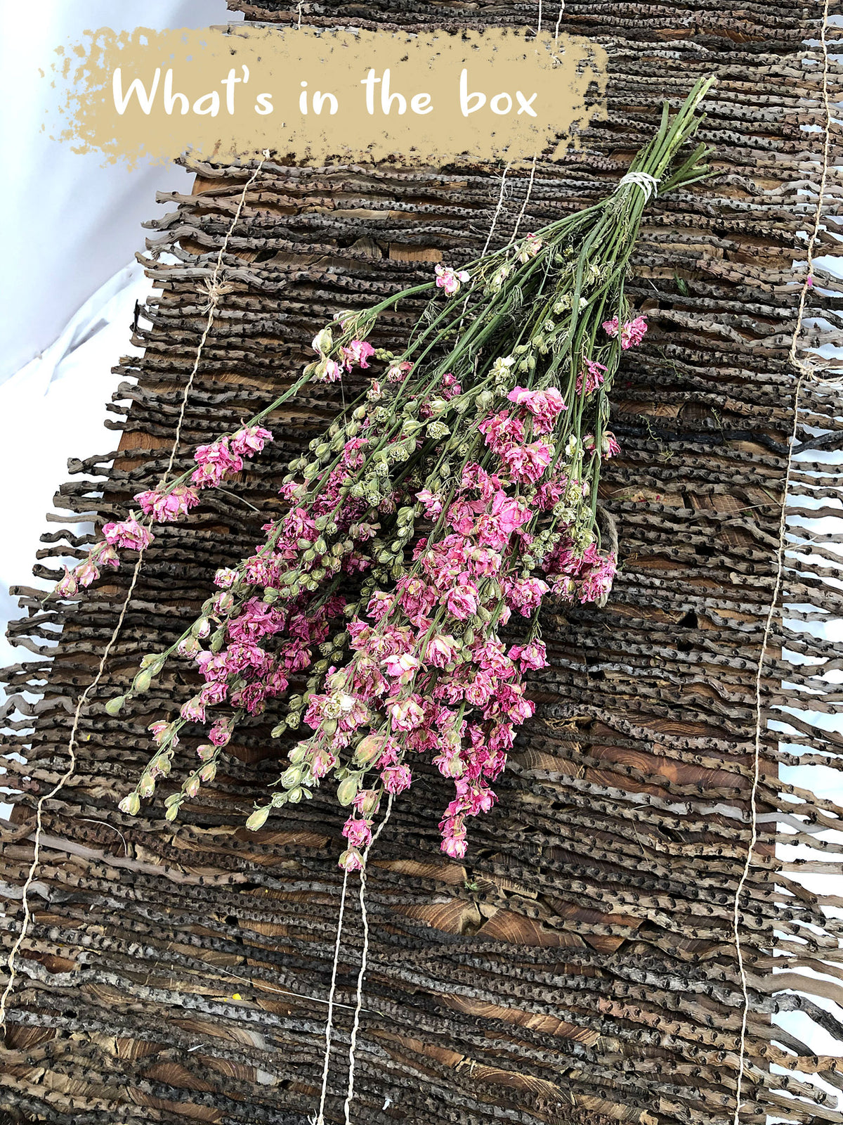 Dried Natural Pink &quot;Delphinium&quot; Flowers by the bunch