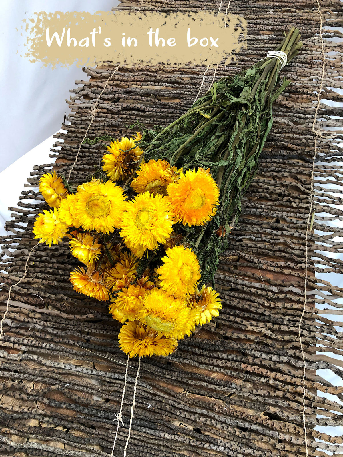 Dried Natural Yellow &quot;Straw Flower&quot; by the bunch