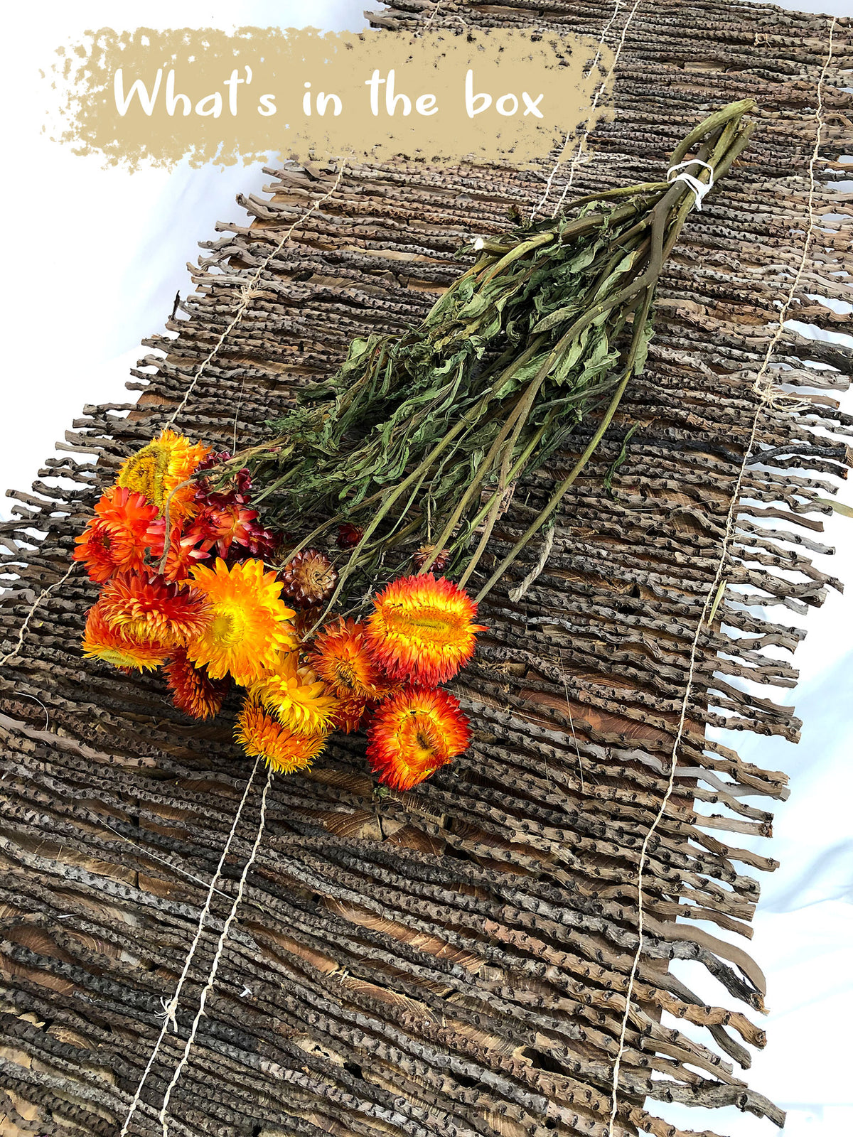 Dried Natural Orange &quot;Straw Flower&quot; by the bunch