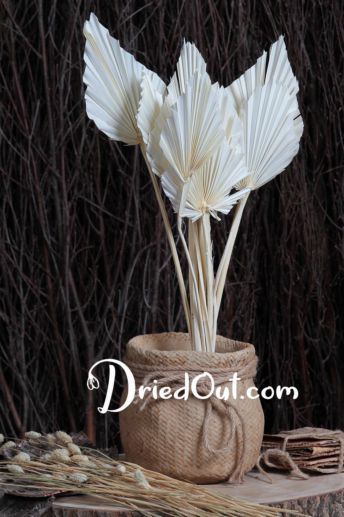 Bleached &quot;Fan Palm Spears&quot; in a 10 stem bunch