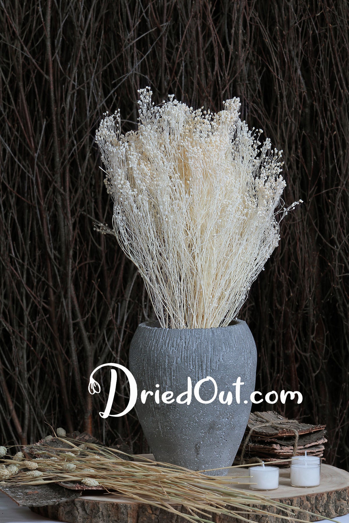 Bleached &quot;Broom Flower&quot; by the bunch