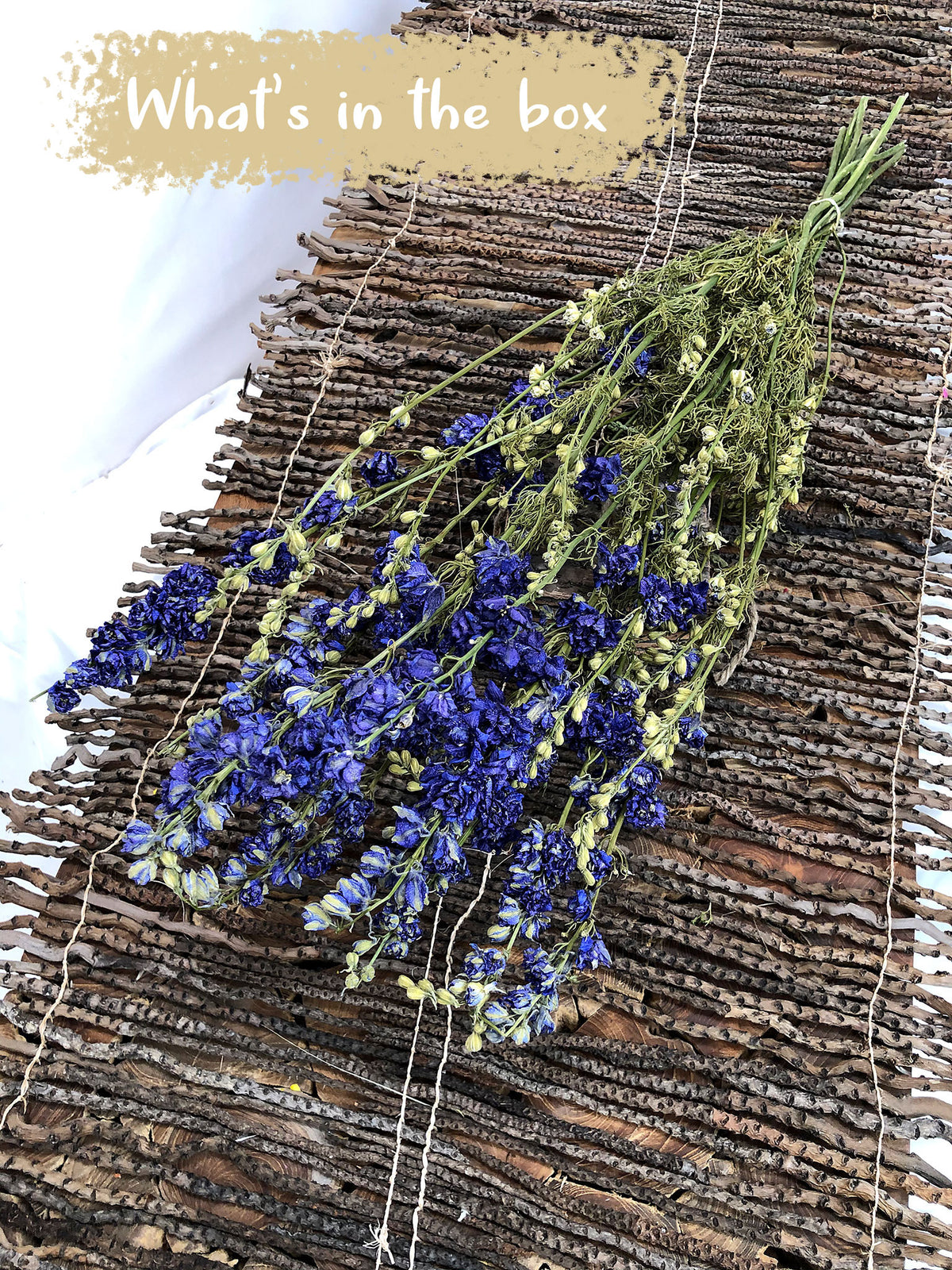 Dried Natural Blue &quot;Delphinium&quot; Flowers by the bunch