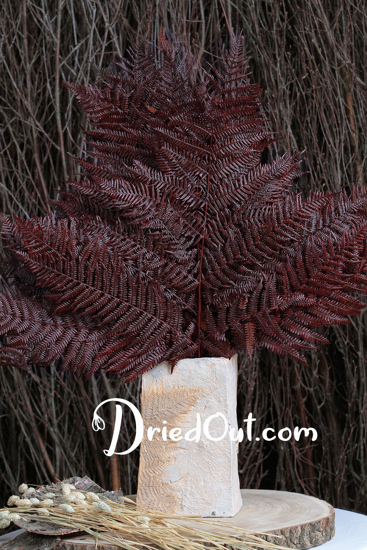 Dried &amp; Preserved &quot;Brown Bracken Fern&quot; 60cm in a 10 stem bunch