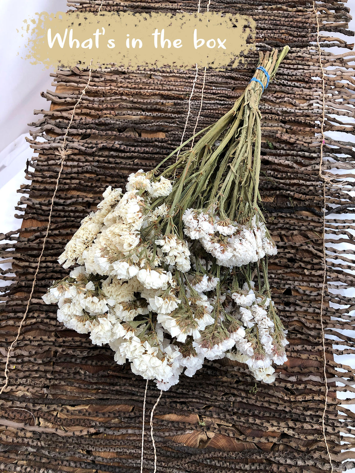 Dried Natural White &quot;Statice&quot; Flower by the bunch