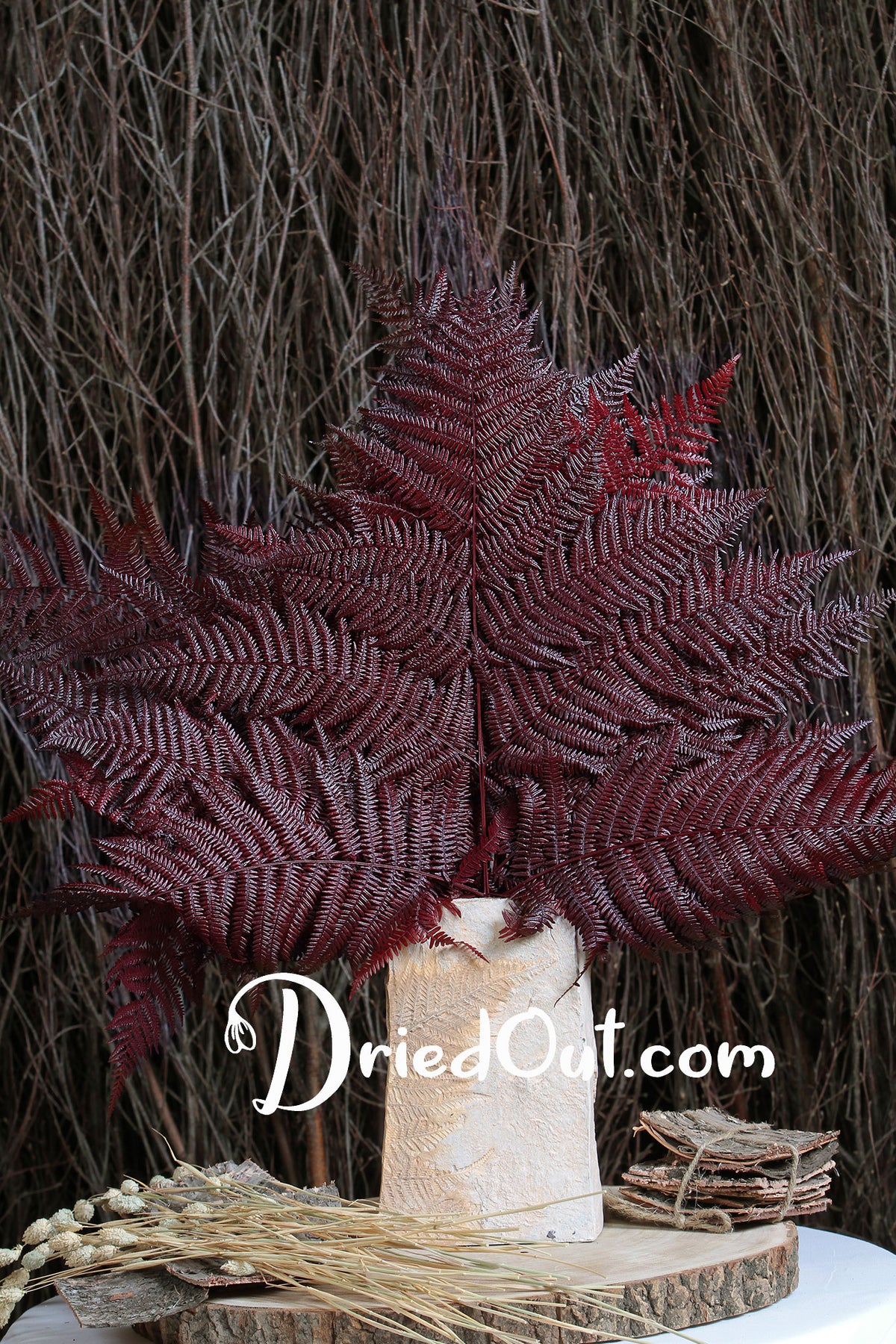 Dried &amp; Preserved &quot;Red Bracken Fern&quot; 60cm in a 10 stem bunch