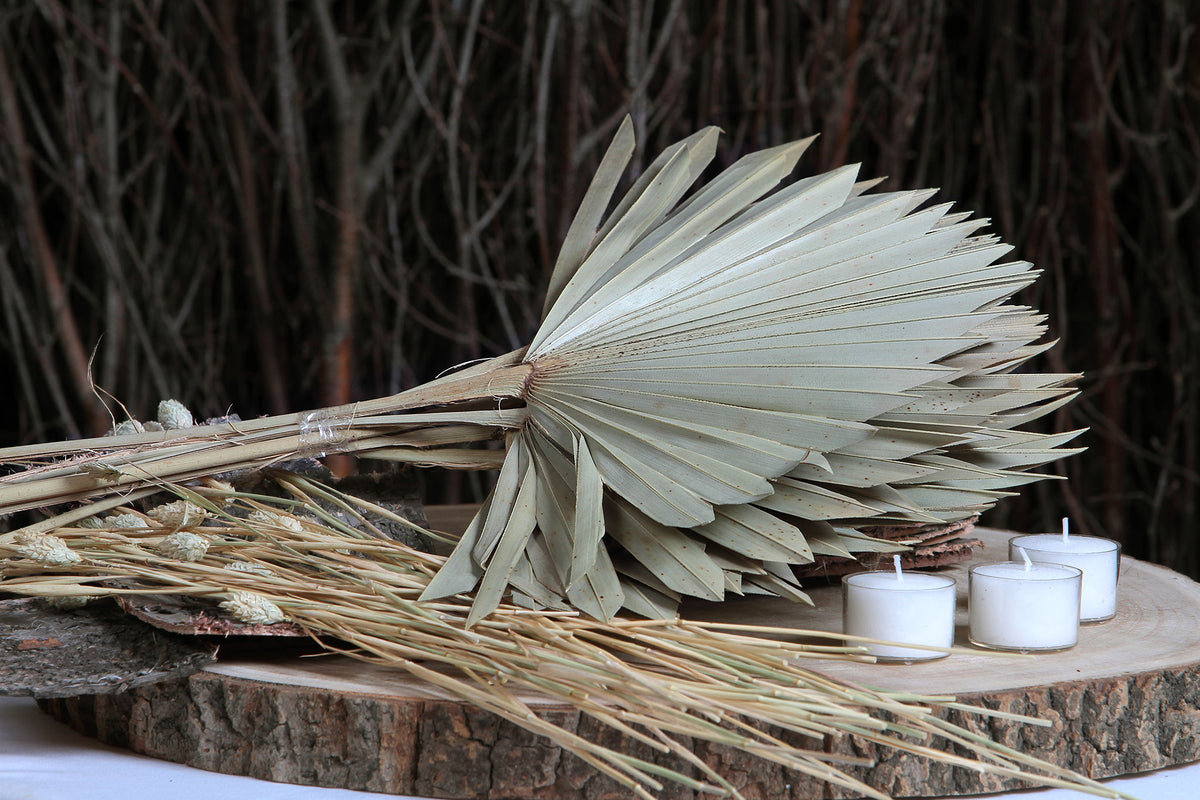 Dried Natural &quot;Fan Palms&quot; in a 5 stem bunch