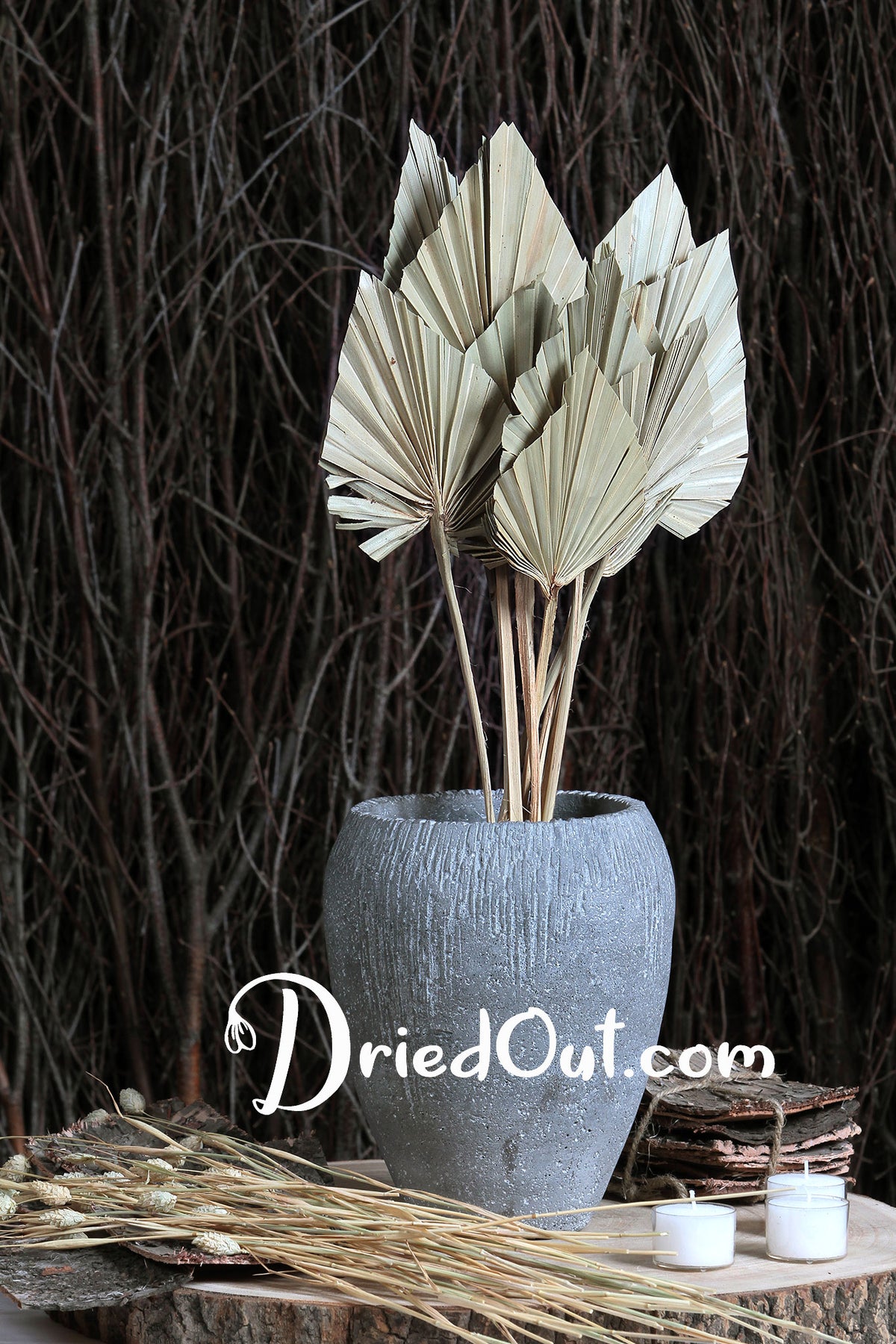 Dried Natural &quot;Fan Palm Spears&quot; in 10 stem bunches