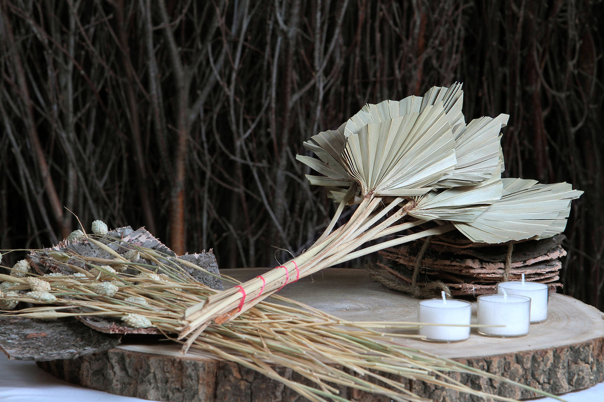 Dried Natural &quot;Fan Palm Spears&quot; in 10 stem bunches