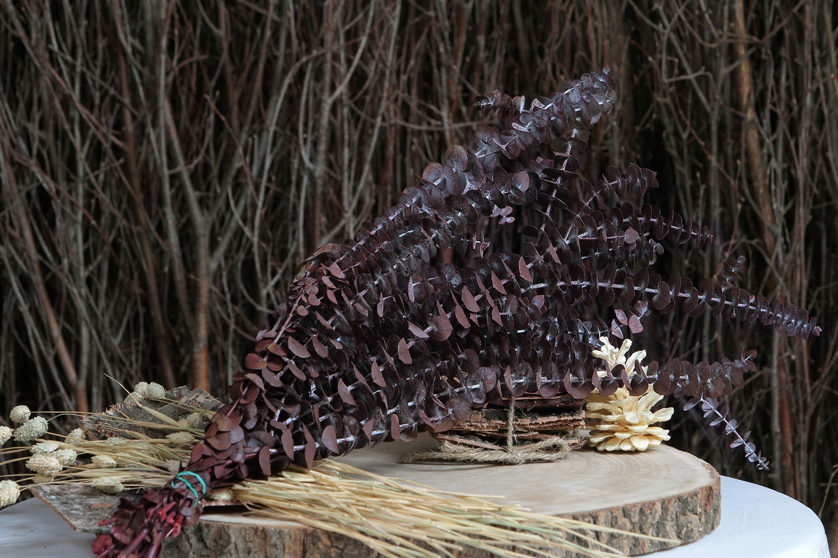 Dried &amp; Preserved Red &quot;Baby Blue Eucalyptus&quot; by the bunch