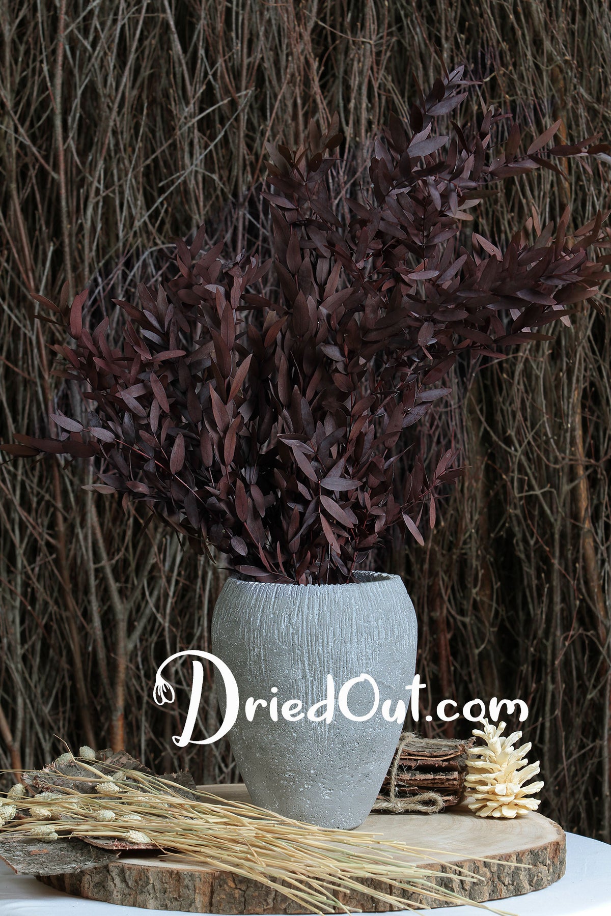 Dried &amp; Preserved Red &quot;Parvifolia&quot; Eucalyptus by the bunch