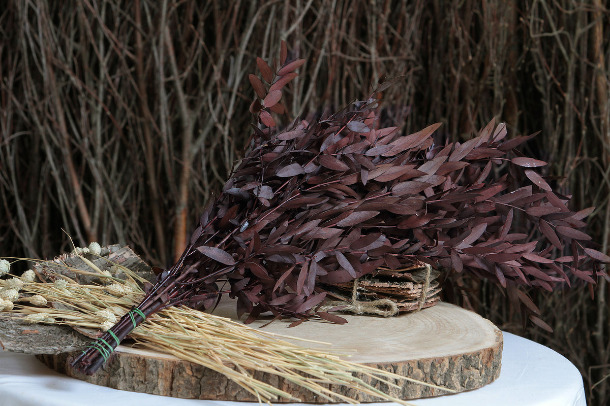 Dried &amp; Preserved Red &quot;Parvifolia&quot; Eucalyptus by the bunch