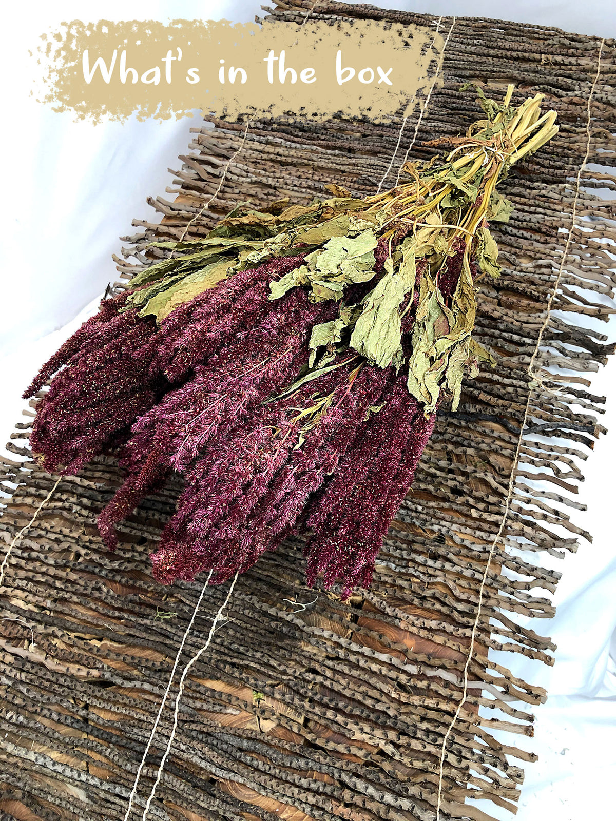 Dried Natural Red &quot;Amaranthus&quot; Flower by the bunch