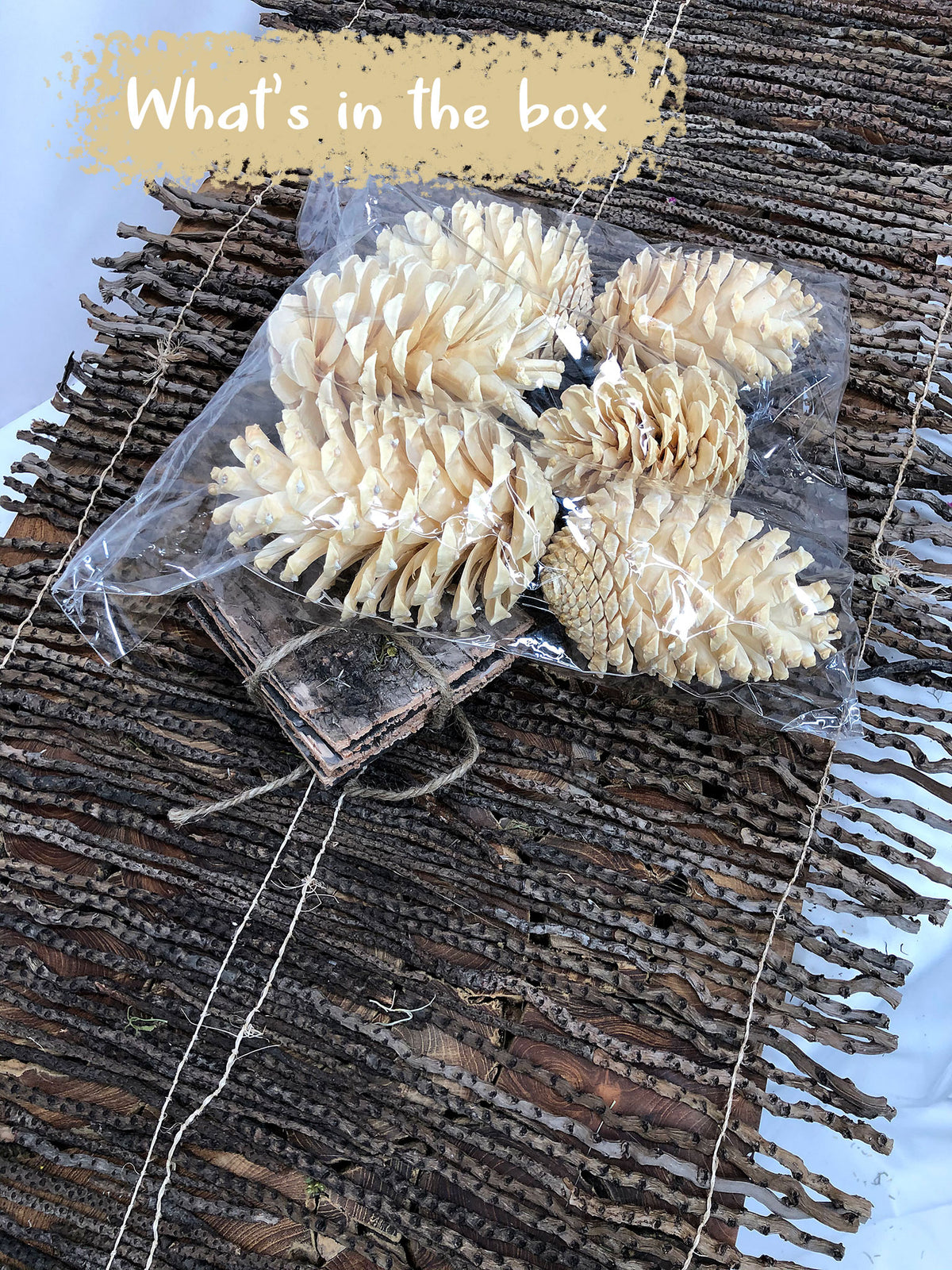 Bleached &quot;Maritima&quot; Pine Cones 6 in a bag