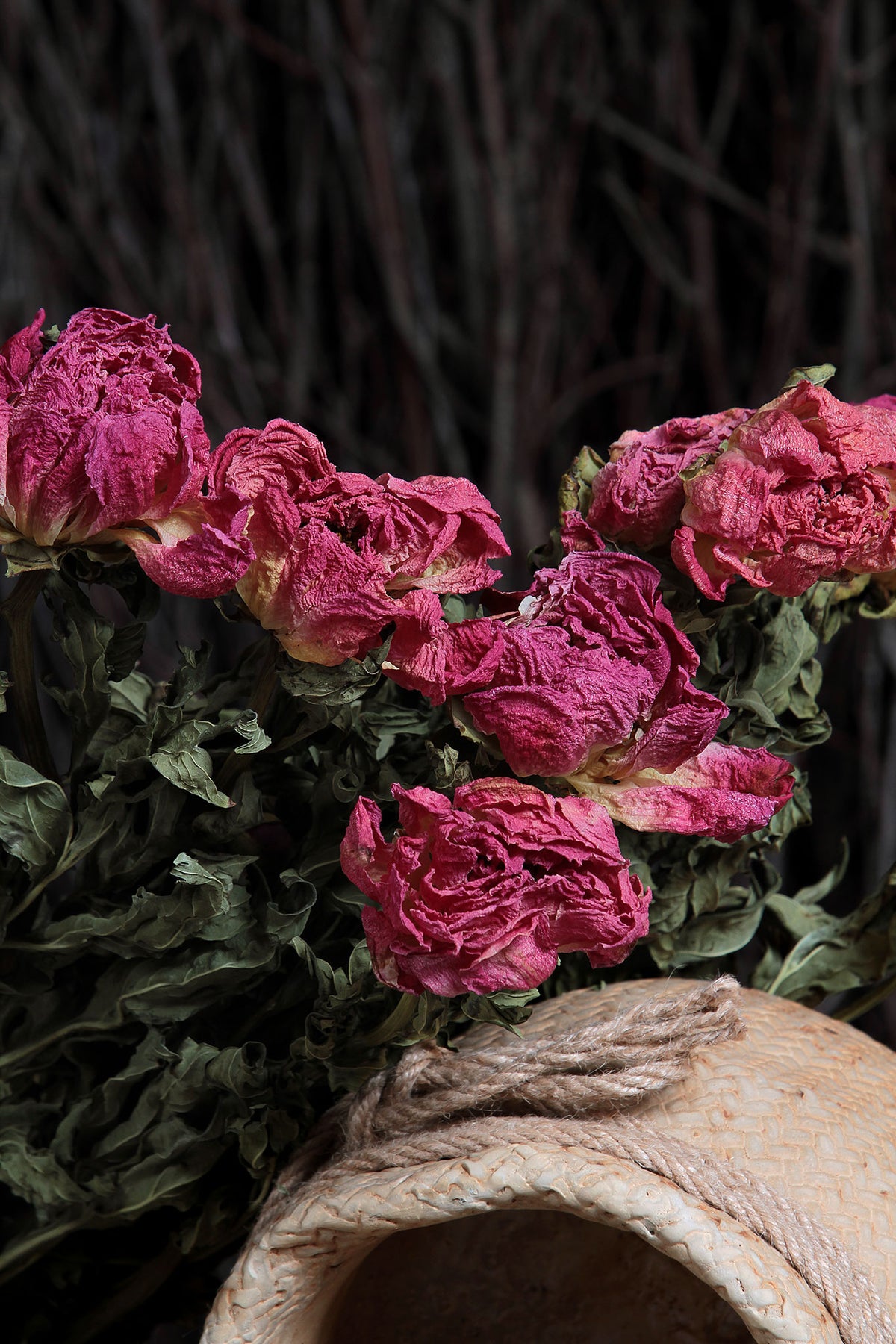 Dried Natural &quot;Peony Red Raspberry&quot; Flower 50cm by the bunch